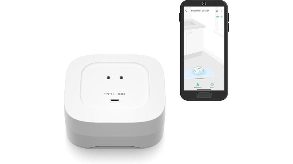 water leak detector with alerts