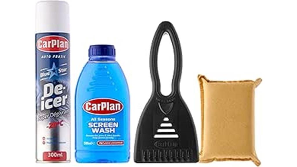 winter car care essentials