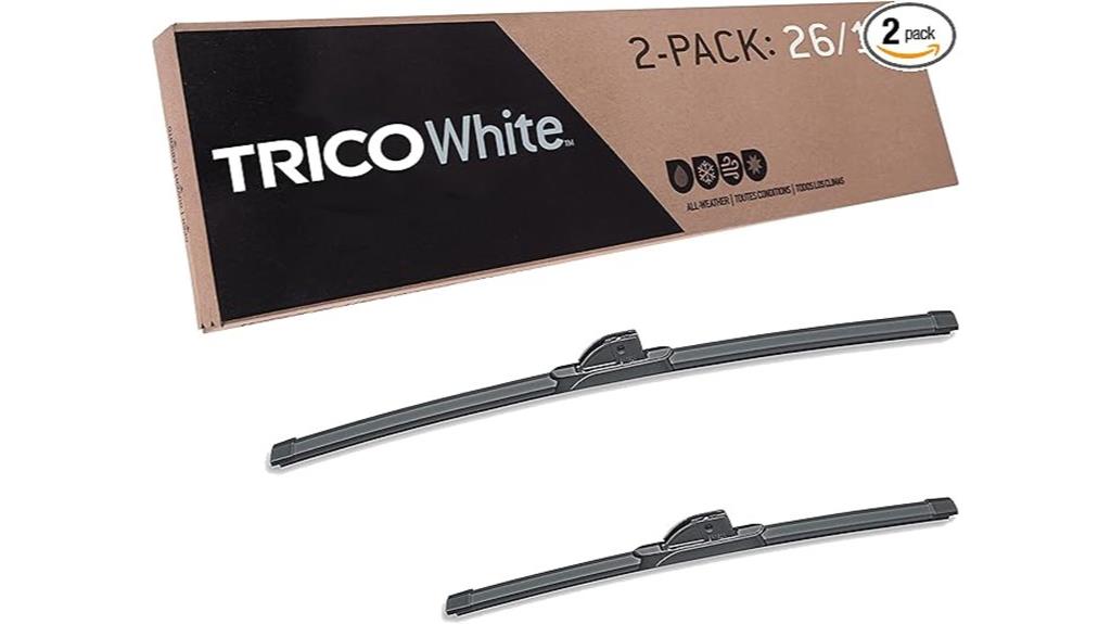 winter windshield wiper blades