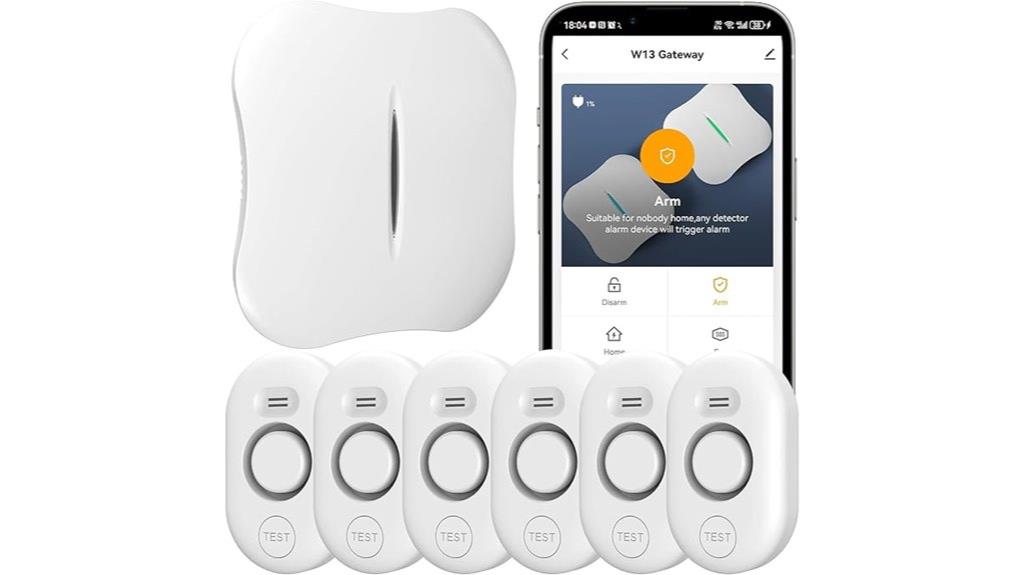 wireless leak detection system