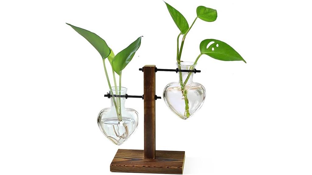 wooden stand for air plants