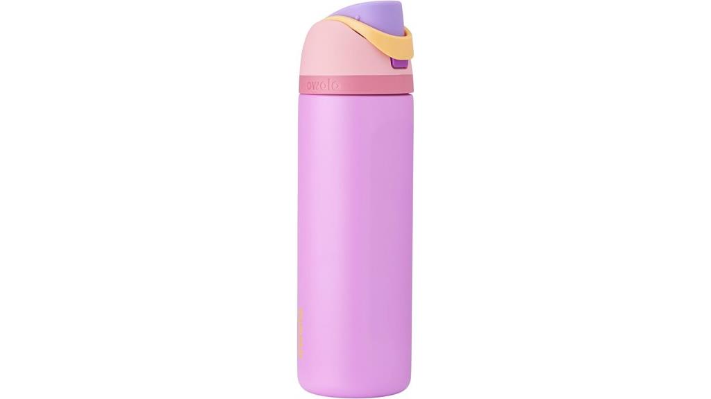 disney princess stainless bottle