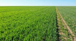 coverage comparison one vs two