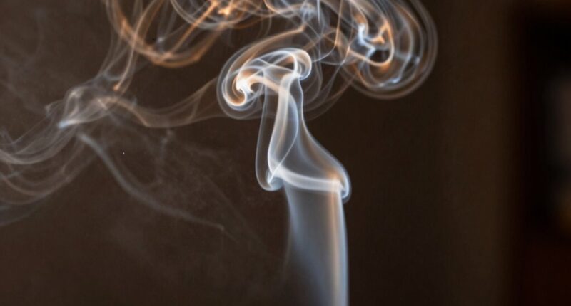 different smoke issues addressed