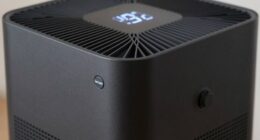 disable ionizer safely