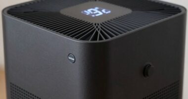 disable ionizer safely