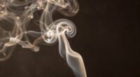 indoor air particle pollution