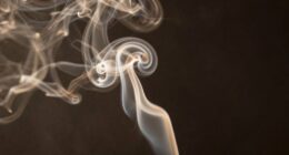 indoor air particle pollution