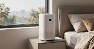 quiet bedroom air purifiers