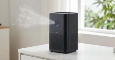 top 15 auto sensor air purifiers