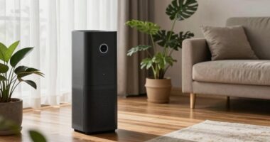 top air purifiers 2026