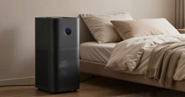 top air purifiers for sleep