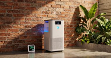 top basement dehumidifiers 2026