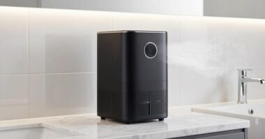 top bathroom odor purifiers