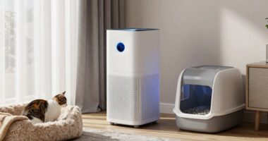 top cat litter odor filters