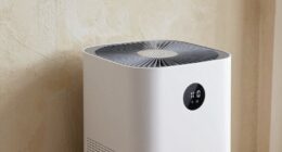top damp wall dehumidifiers
