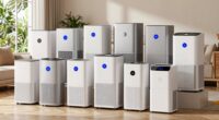 top dehumidifiers for humid homes