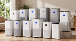 top dehumidifiers for humid homes