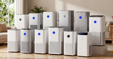top dehumidifiers for humid homes