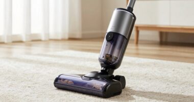 top dust mite hepa vacuums