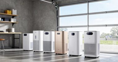 top garage dehumidifier picks