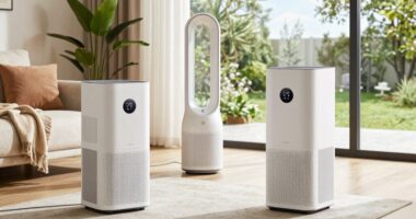 top hay fever air purifiers