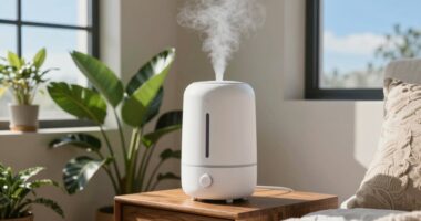 top humidifiers for dry homes