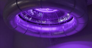 top hvac mold uv lights