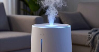 top large room humidifiers