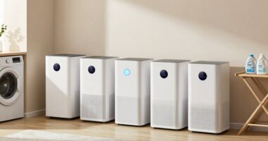 top laundry room air purifiers
