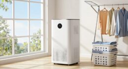 top laundry room dehumidifiers