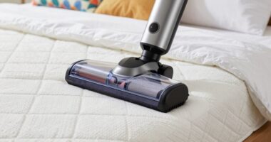 top mattress vacuum picks