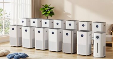 top medical air purifiers