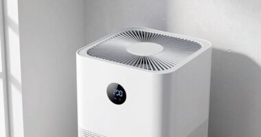 top mold reducing dehumidifiers