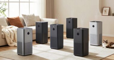 top pet dander air purirs