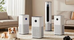 top pet odor air purifiers