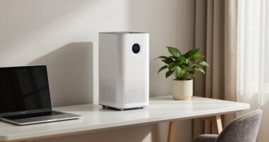 top quiet air purifiers