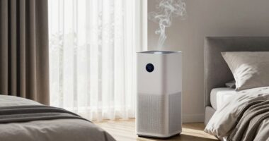 top smoke purifiers for bedrooms