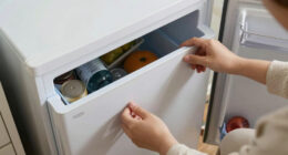 12 Best Best Upright Freezer Small in 2026
