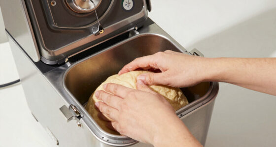 12 Best Bread Maker for Artisan Loaves in 2026