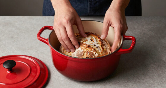 14 Best Enameled Dutch Oven for Bread in 2026