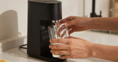15 Best Beverage Dispenser Glass in 2026