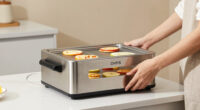 7 Best Best Dehydrator Stainless Steel in 2026