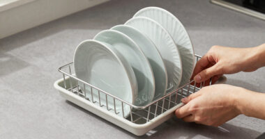 7 Best Dish Rack Large Capacity in 2026