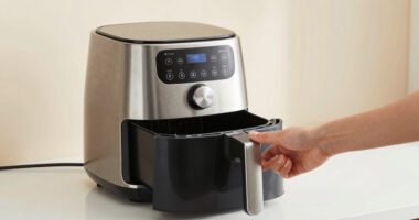 7 Best Dual Basket Air Fryer for Baking in 2026