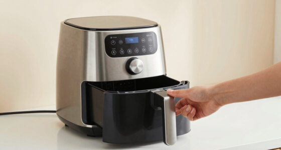 7 Best Dual Basket Air Fryer for Baking in 2026