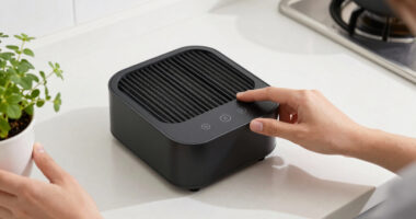 8 Best Air Purifier With Carbon Filter Kitchen in 2026