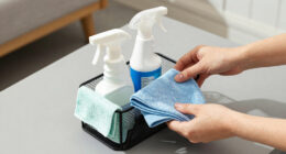 8 Best Best Cleaning Caddy Organizer in 2026