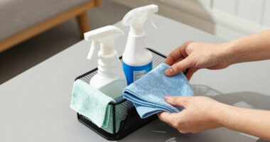 8 Best Best Cleaning Caddy Organizer in 2026