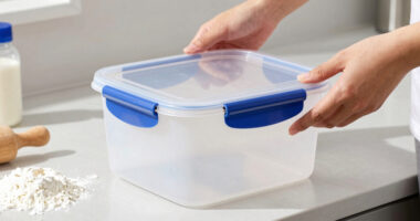 9 Best Airtight Bins for Flour Moth Prevention in 2026